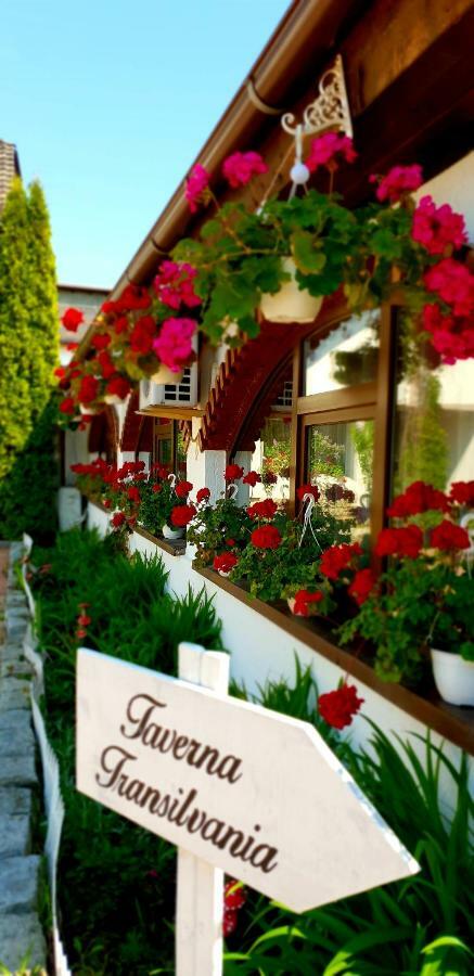 Hotel Elisabeta Alba Iulia Extérieur photo