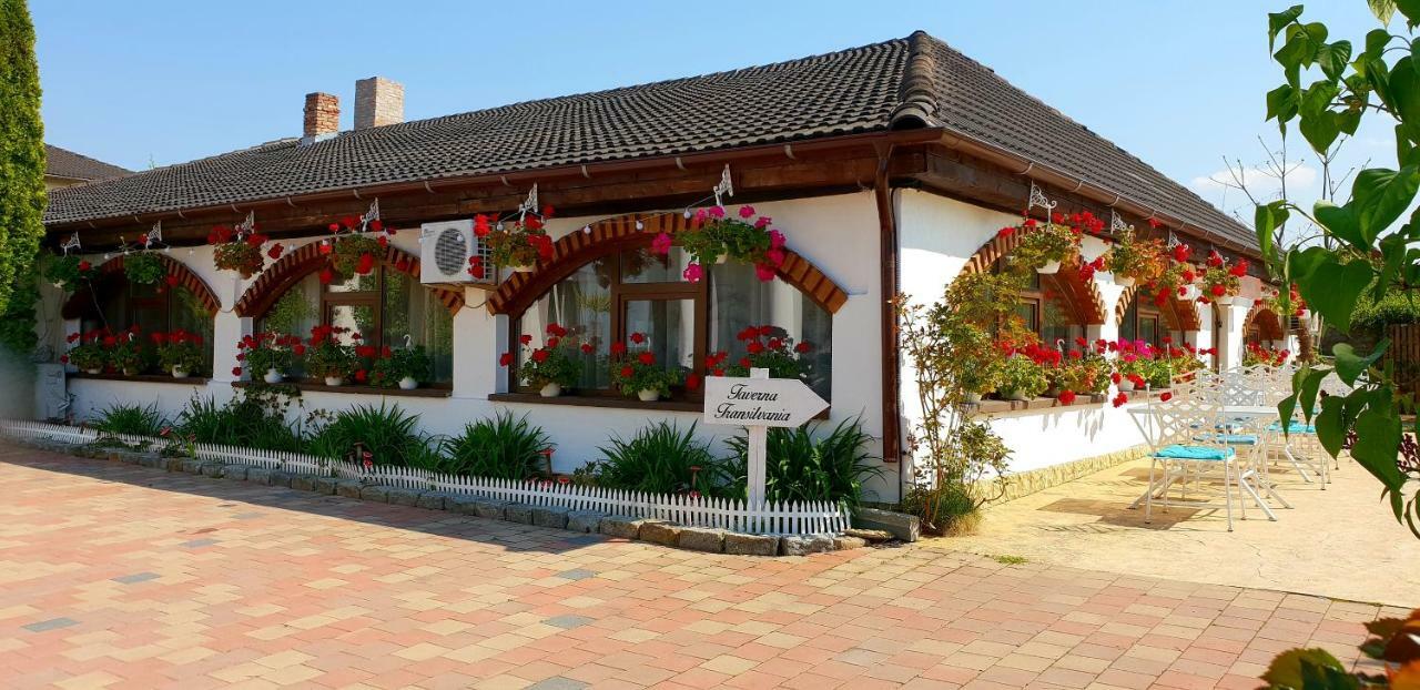 Hotel Elisabeta Alba Iulia Extérieur photo